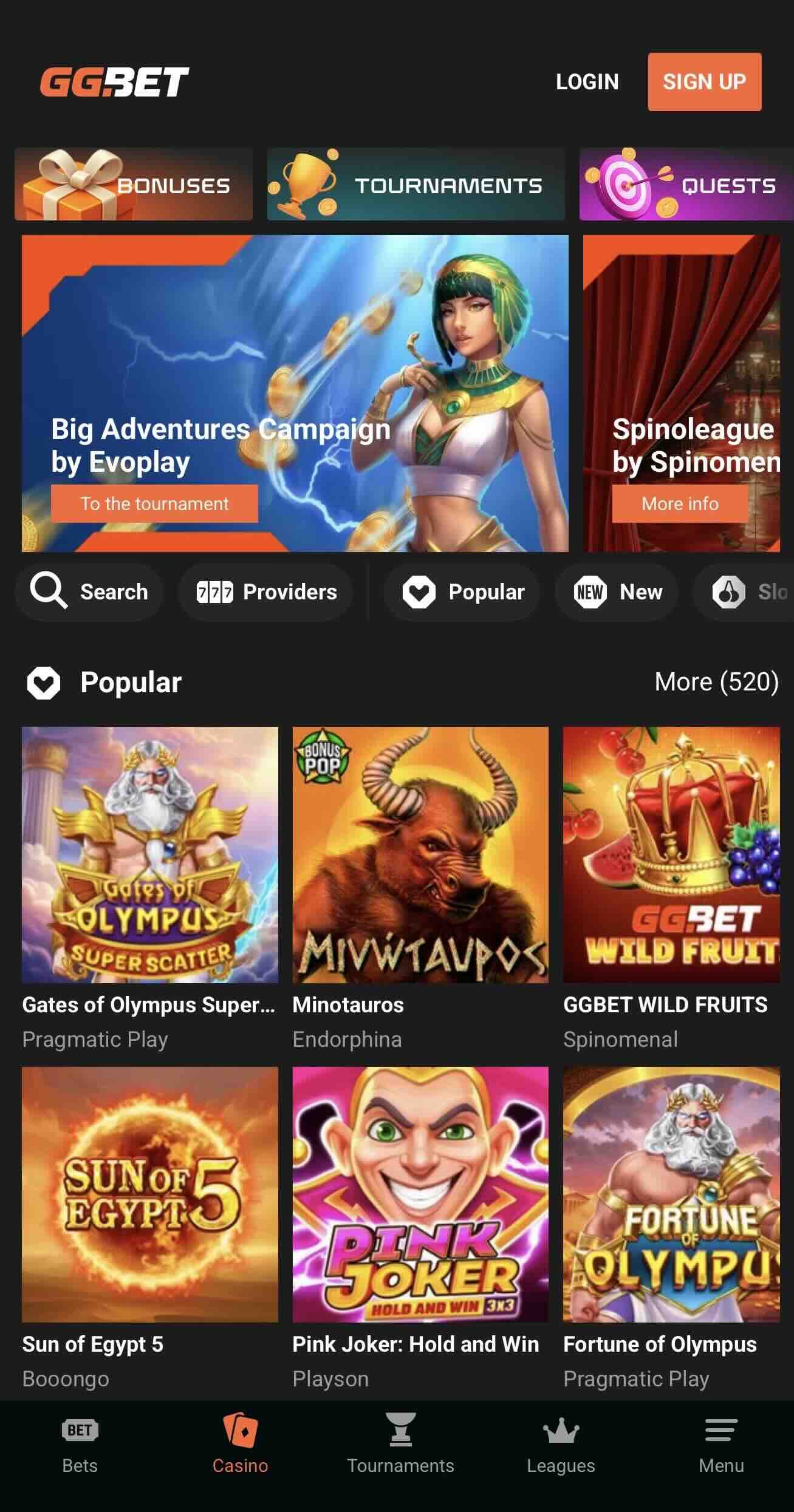 one of the best options to choose from for players looking for online casino nz